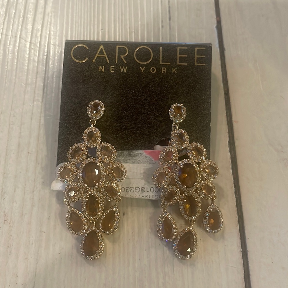Fancy clip on earrings